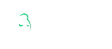 Bruno Casino